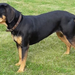 Photo of Brena