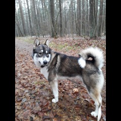 Photo of RIKO
