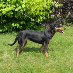 Photo of Renda