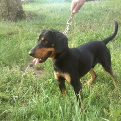 Photo of Remis