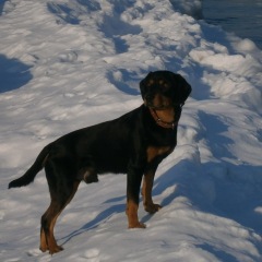 Photo of Tako