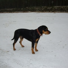 Photo of Argo