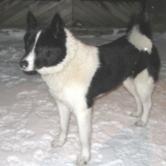 Photo of Tīna-Tipa
