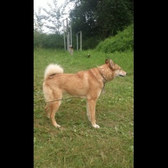 Photo of Princese