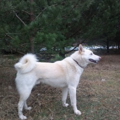 Photo of Karro