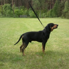 Photo of Argo